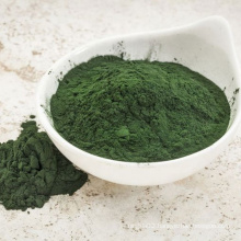 Best-quality Organic Certificate Spirulina Powder Tablet in bulk